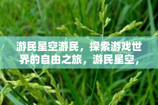 探索游戏世界的自由之旅图片