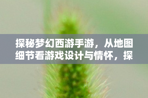 从地图细节看游戏设计与情怀图片