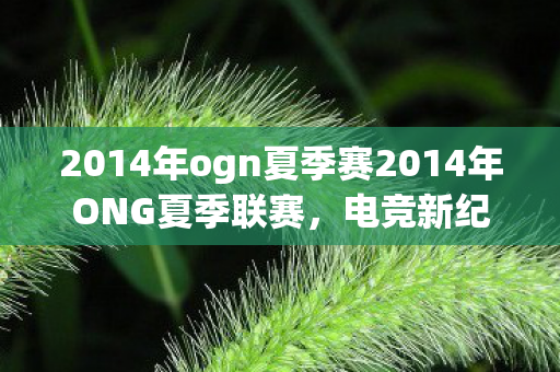 2014年ogn夏季赛2014年ONG夏季联赛图片