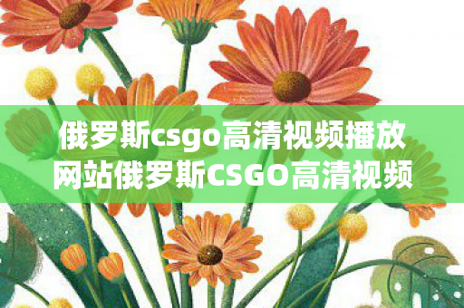 俄罗斯csgo高清视频播放网站俄罗斯CSGO高清视频图片