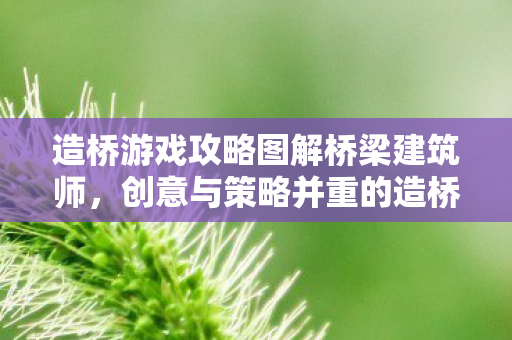 造桥游戏攻略图解桥梁建筑师图片