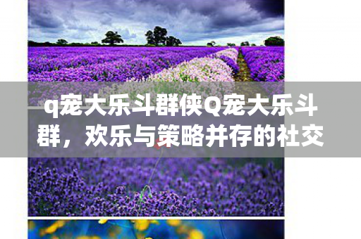 q宠大乐斗群侠Q宠大乐斗群图片