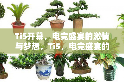 电竞盛宴的激情与梦想图片