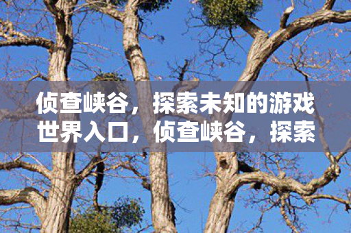 探索未知游戏世界的神秘入口图片
