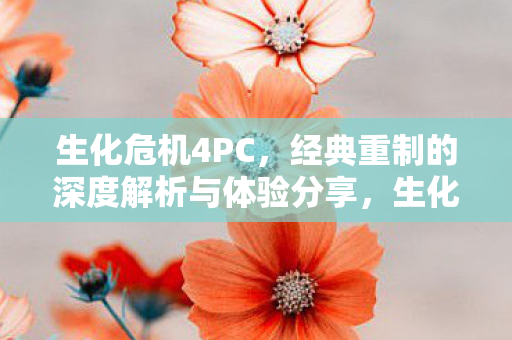 经典重制的深度解析与体验分享图片