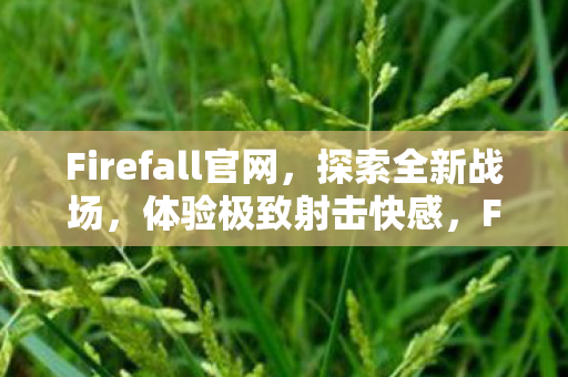 Firefall官网图片