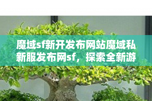 魔域sf新开发布网站魔域私新服发布网sf图片