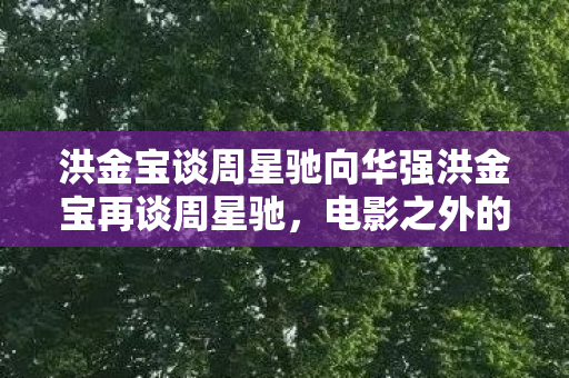 洪金宝谈周星驰向华强洪金宝再谈周星驰图片