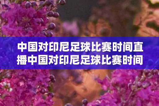 中国对印尼足球比赛时间直播中国对印尼足球比赛时间图片