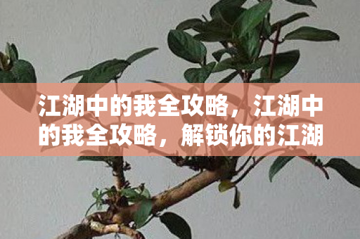 江湖中的我全攻略图片