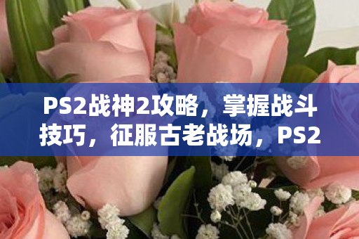 PS2战神2攻略图片