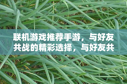 与好友共战的精彩选择图片