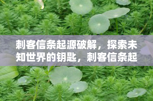 解锁探索未知世界的钥匙图片