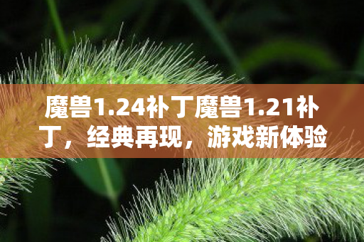 24补丁魔兽1图片