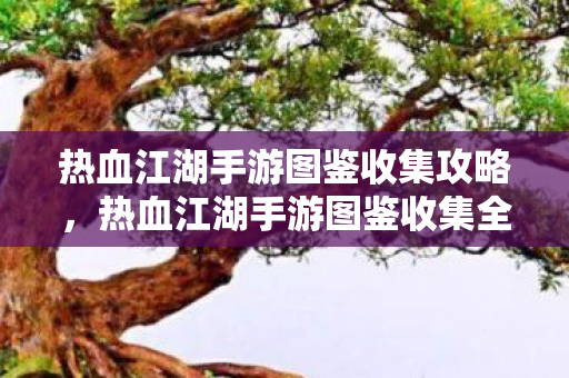 热血江湖手游图鉴收集攻略,热血江湖手游图鉴收集全攻略 热血江湖手游图鉴收集攻略,热血江湖手游图鉴收集全攻略