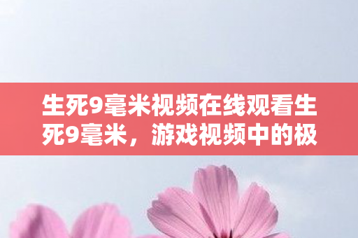 生死9毫米视频在线观看生死9毫米图片