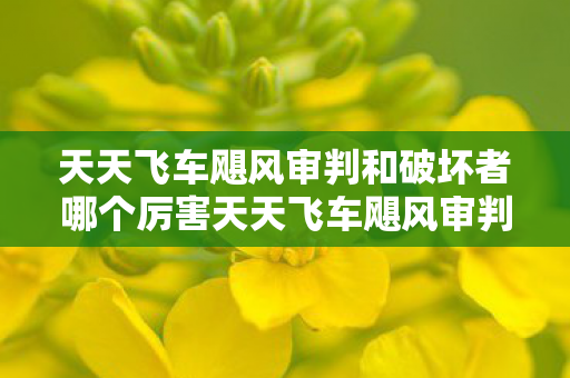 天天飞车飓风审判和破坏者哪个厉害天天飞车飓风审判图片
