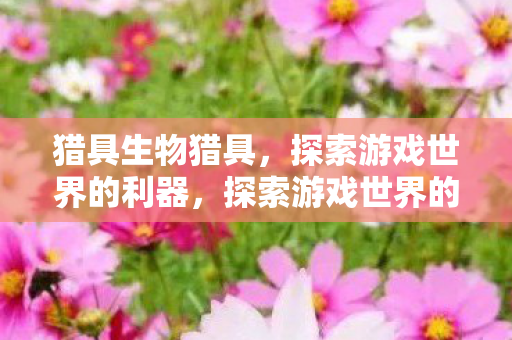 探索游戏世界的利器图片