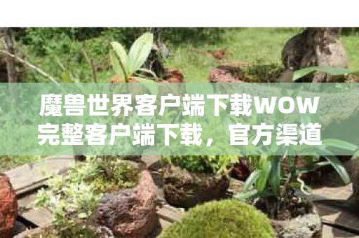 魔兽世界客户端下载WOW完整客户端下载图片