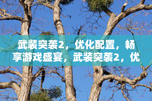 打造流畅游戏体验图片