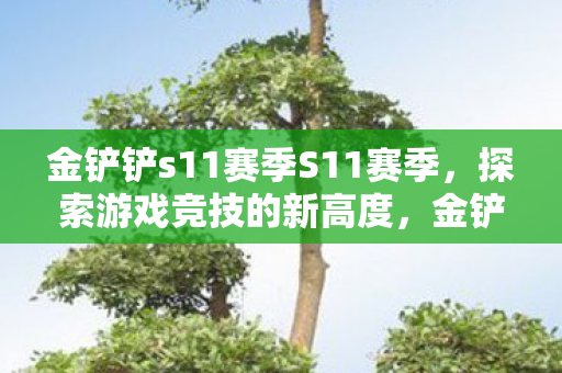 金铲铲s11赛季S11赛季图片