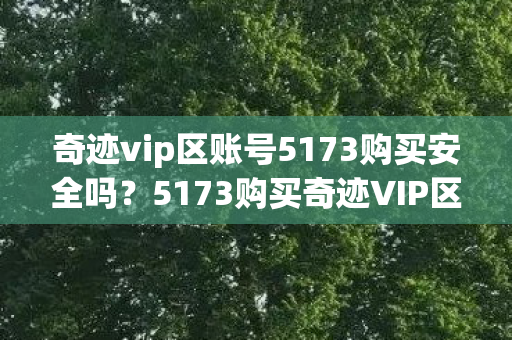 5173购买奇迹VIP区账号是否安全图片