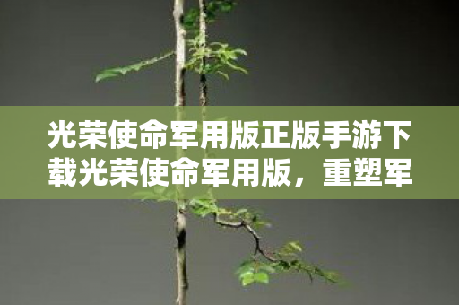 光荣使命军用版正版手游下载光荣使命军用版图片