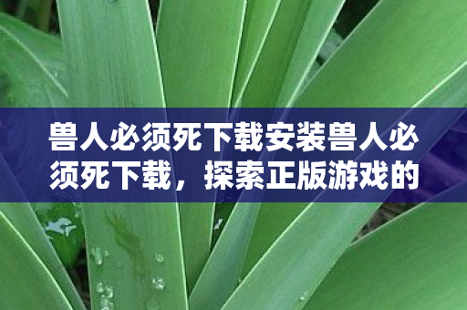 兽人必须死下载安装兽人必须死下载图片