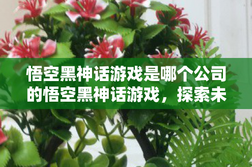 悟空黑神话游戏是哪个公司的悟空黑神话游戏图片
