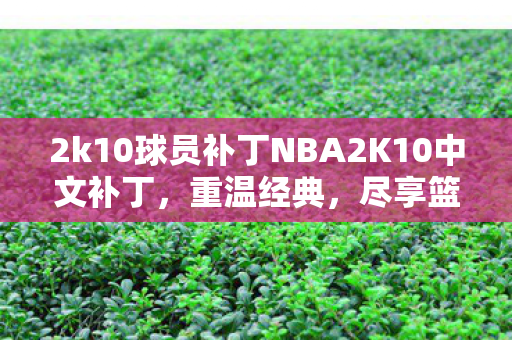 2k10球员补丁NBA2K10中文补丁图片