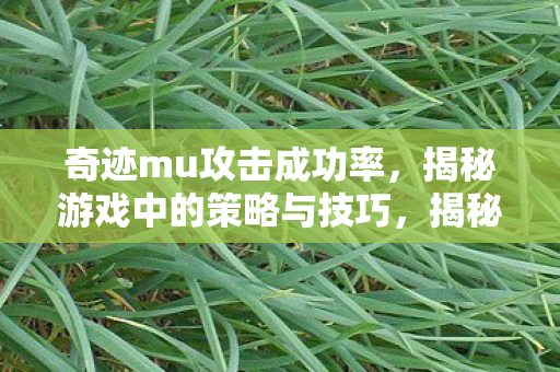 揭秘奇迹MU攻击成功率提升策略与技巧图片