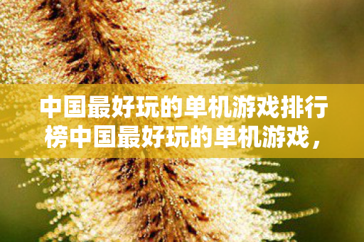 中国最好玩的单机游戏排行榜中国最好玩的单机游戏图片