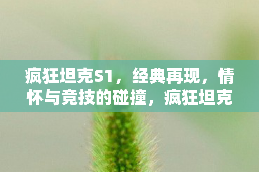 情怀与竞技的碰撞再现经典图片