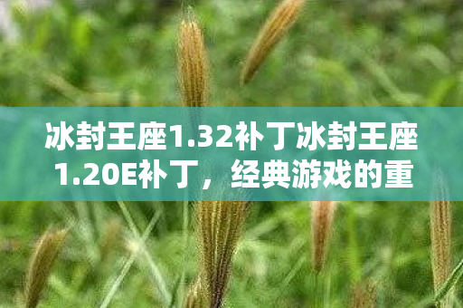 冰封王座经典游戏升级补丁图片