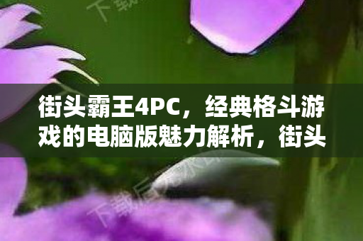 经典格斗游戏的电脑版魅力解析图片