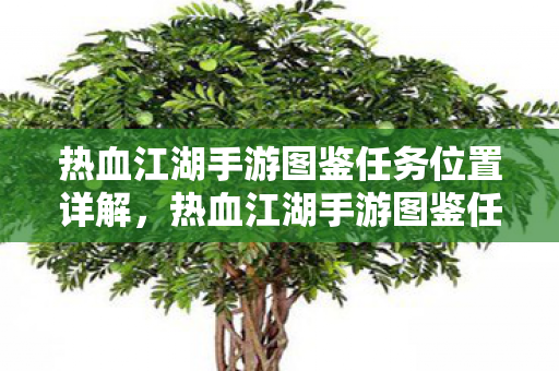 热血江湖手游图鉴任务位置详解，热血江湖手游图鉴任务位置全解析