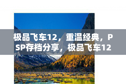 PSP存档分享图片