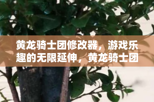 解锁游戏乐趣的无限可能图片