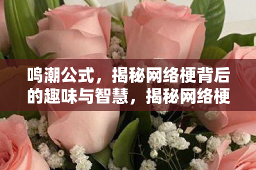 揭秘网络梗背后的趣味与智慧图片