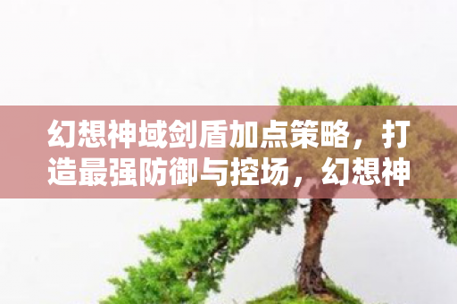 幻想神域剑盾加点策略图片
