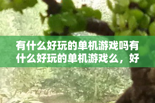 有什么好玩的单机游戏吗有什么好玩的单机游戏么图片