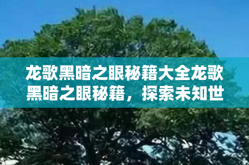 龙歌黑暗之眼秘籍大全龙歌黑暗之眼秘籍图片