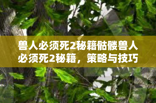 兽人必须死2秘籍骷髅兽人必须死2秘籍图片