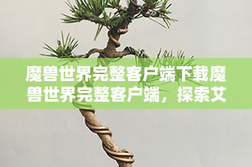 魔兽世界完整客户端下载魔兽世界完整客户端图片