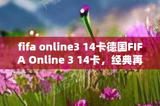 fifa online3 14卡德国FIFA Online 3 14卡图片