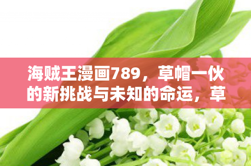 草帽一伙的新挑战与未知的命运图片