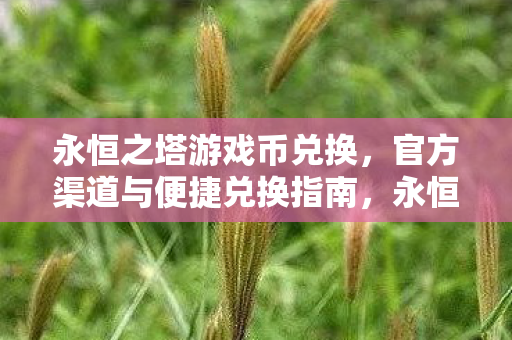 永恒之塔游戏币官方兑换指南图片