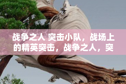 战争之人 突击小队图片