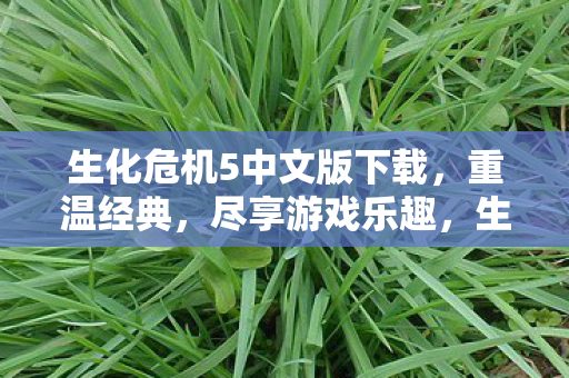 生化危机5中文版下载图片