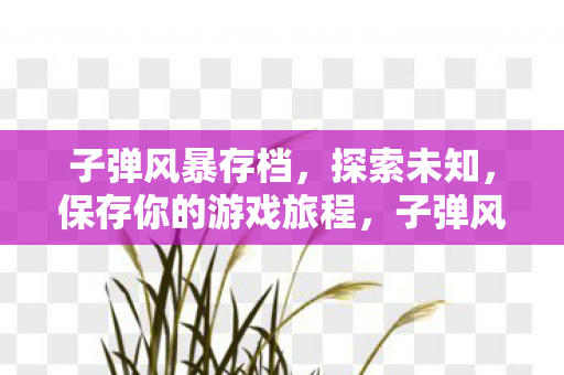 保存你的游戏旅程图片